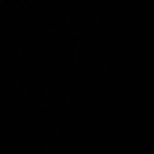 Rhude x Thierry Lasry Rhodeo Glasses